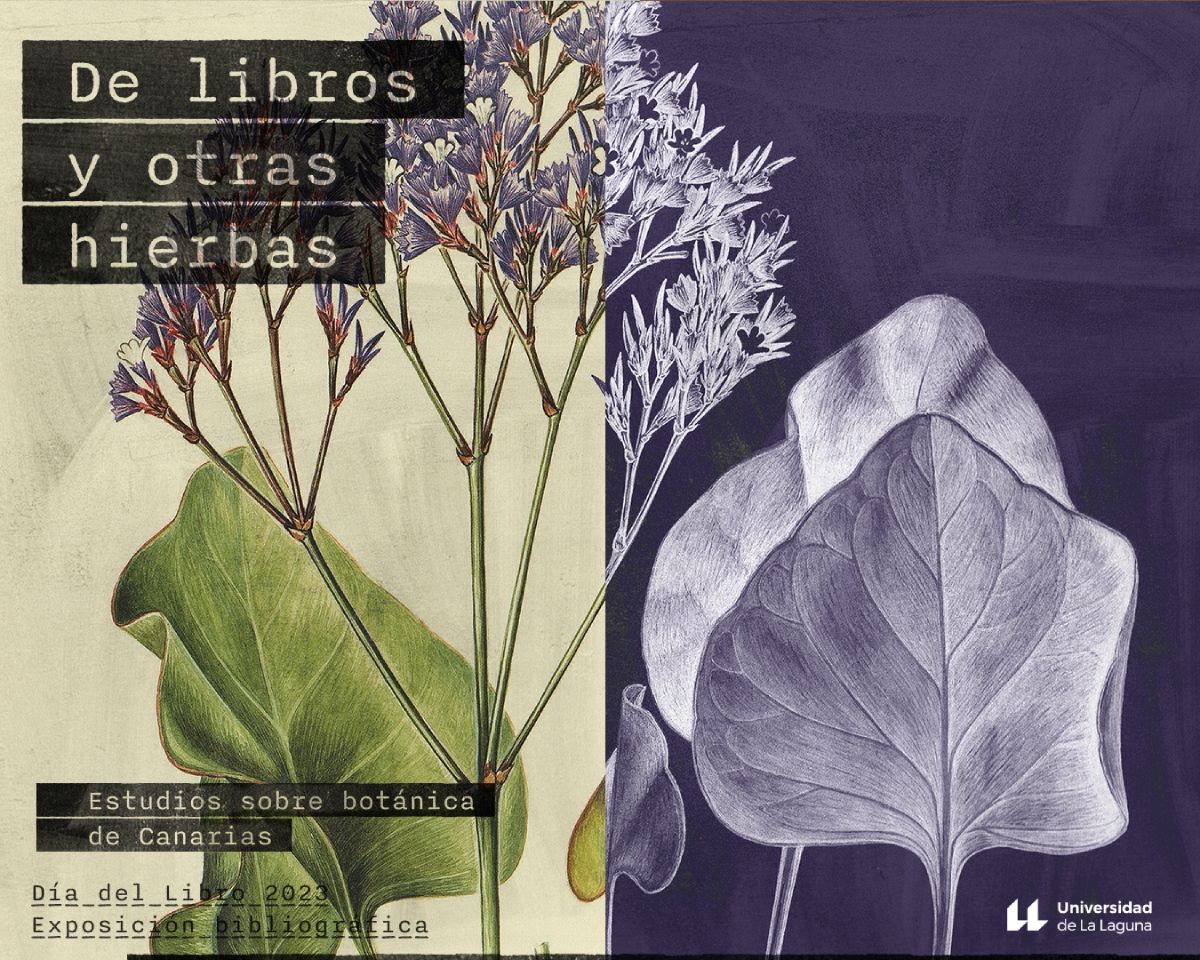 Cartel de la exposición