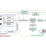 Escenario futuro de la gestión de residuos de mataderos en la isla de Tenerife y comparación con el escenario actual. (Esquema que forma parte del artículo).